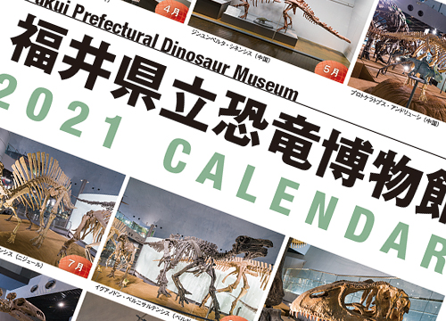 朝日印刷株式会社 福井県 勝山 恐竜カレンダー